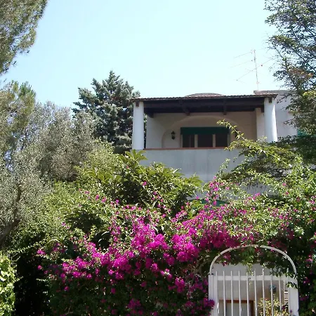 Matisse - Damecuta Park