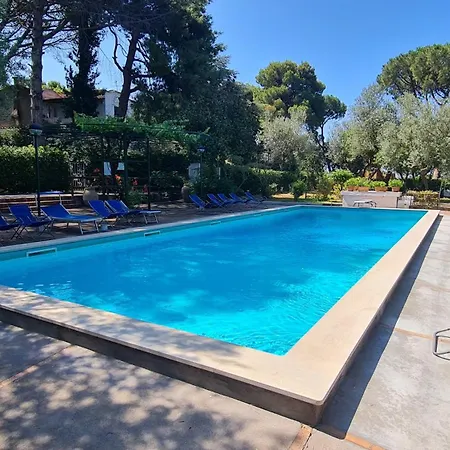 Matisse - Damecuta Park *