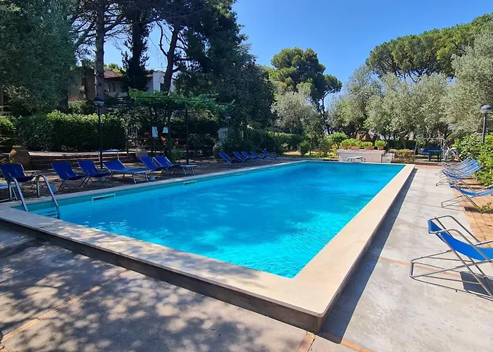 Matisse - Damecuta Park *