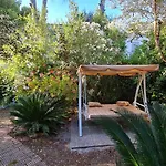 Matisse - Damecuta Park