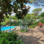 Matisse - Damecuta Park *