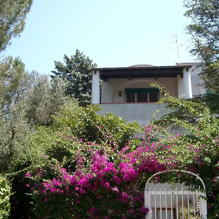 Matisse - Damecuta Park