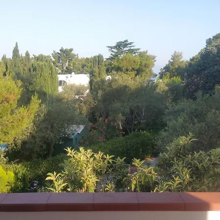 Matisse - Damecuta Park Appartement