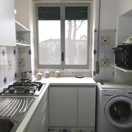 Matisse - Damecuta Park *