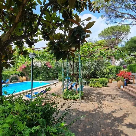 Matisse - Damecuta Park *