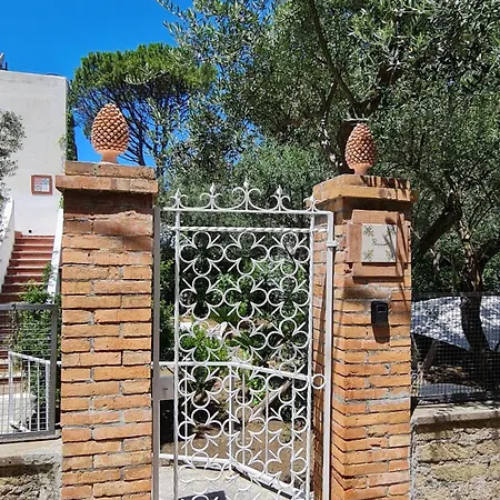 Matisse - Damecuta Park * Anacapri (Isola di Capri)