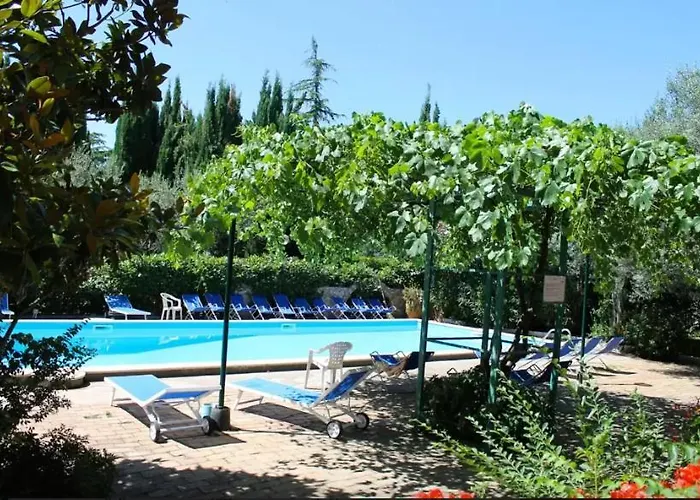 Matisse - Damecuta Park אנה קאפרי