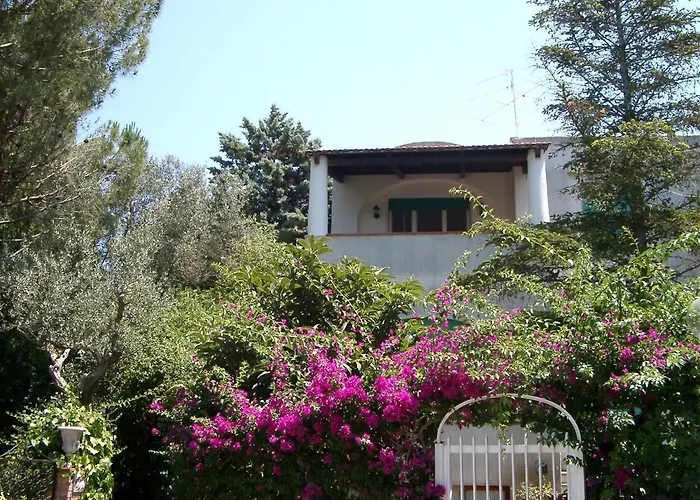 Matisse - Damecuta Park