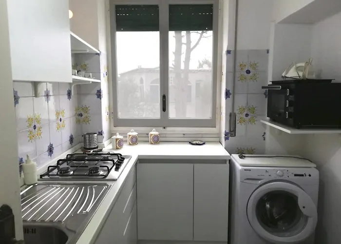 Matisse - Damecuta Park *