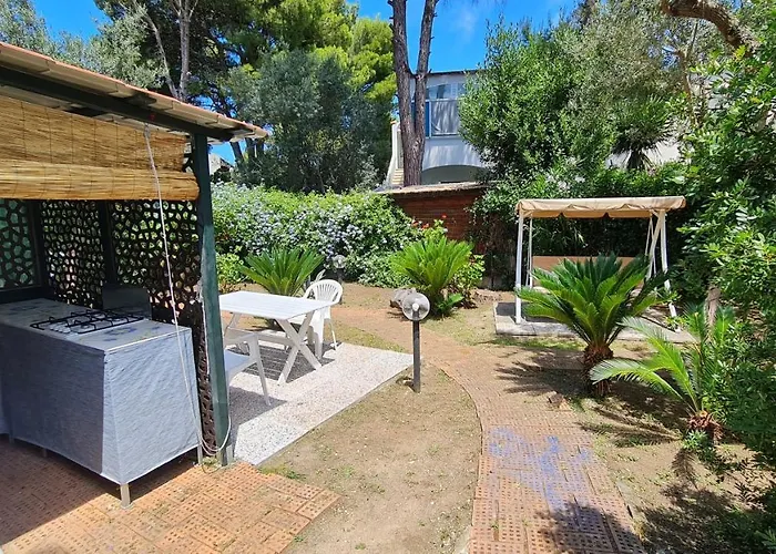 Matisse - Damecuta Park *