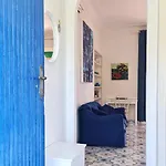 Matisse - Damecuta Park *