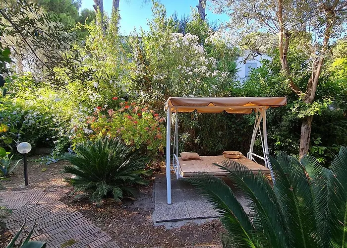 Matisse - Damecuta Park