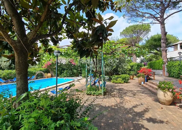 Matisse - Damecuta Park *